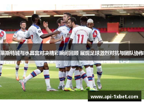 莱斯特城与水晶宫对决精彩瞬间回顾 展现足球激烈对抗与团队协作 莱斯特城与水晶宫对决精彩瞬间回顾 展现足球激烈对抗与团队协作
