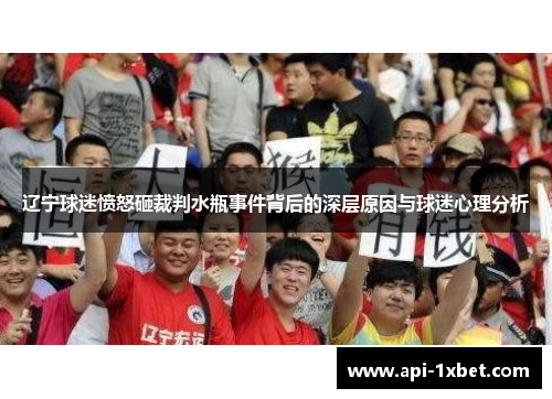 辽宁球迷愤怒砸裁判水瓶事件背后的深层原因与球迷心理分析
