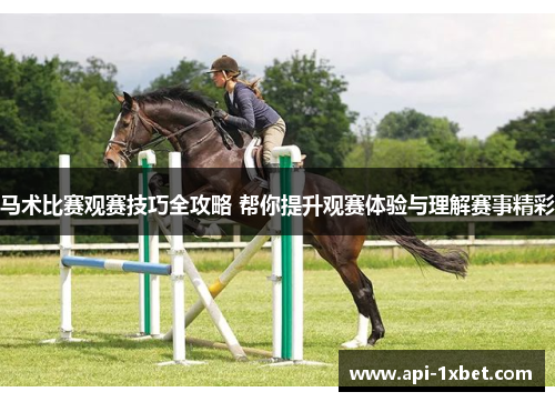 马术比赛观赛技巧全攻略 帮你提升观赛体验与理解赛事精彩