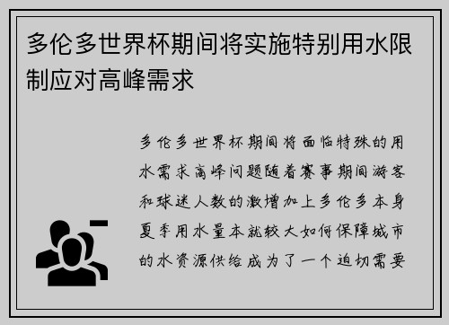 多伦多世界杯期间将实施特别用水限制应对高峰需求