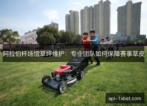 阿拉伯杯场馆草坪维护：专业团队如何保障赛事草皮
